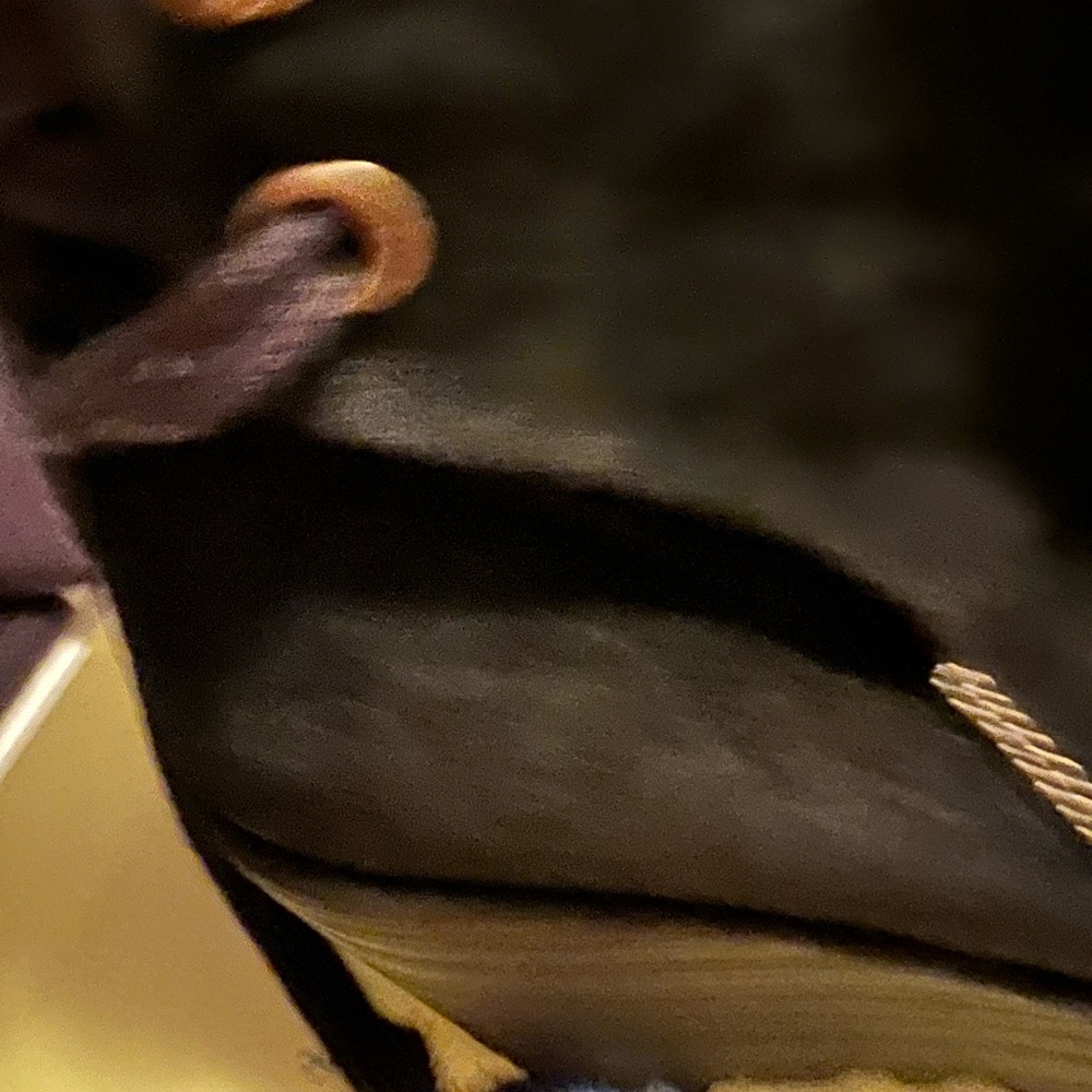 Fly boots - Picture 4 of 9